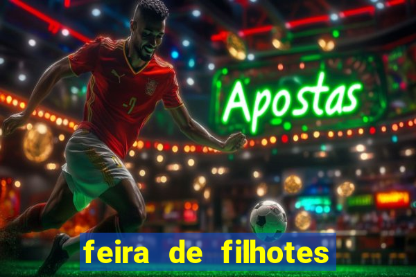 feira de filhotes porto alegre